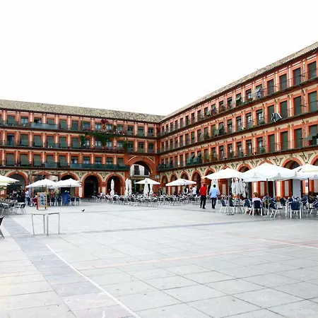Pedro Lopez Córdoba